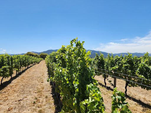 Bladen Wines