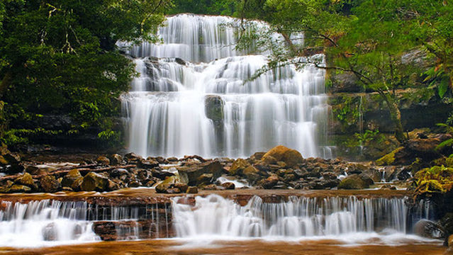 Liffey Falls Camping