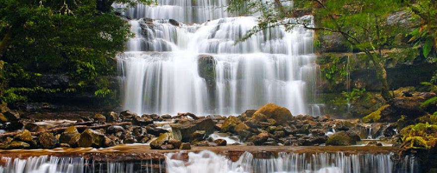 Liffey Falls Camping