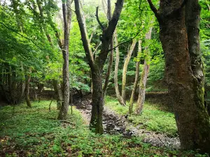Diósjenő Forest Recreation Park