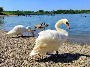 Akumulaciono jezero "Zobnatica"