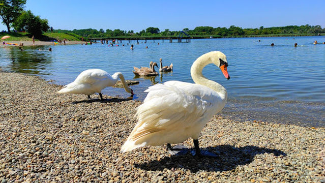 Akumulaciono jezero "Zobnatica"