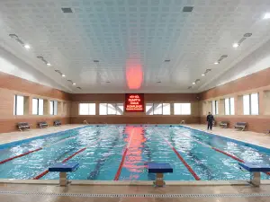Göygöl Olimpiya İdman Kmpleksi