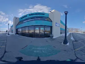 Arctic Coliseum Inc