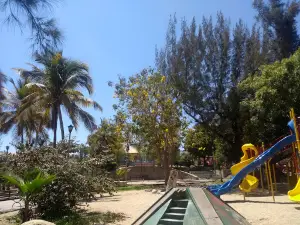 The Pines Park Parque Los Pinos