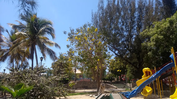 The Pines Park Parque Los Pinos