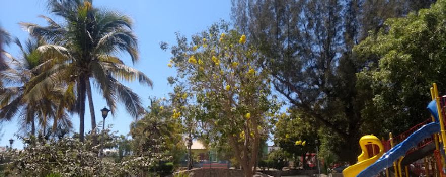 The Pines Park Parque Los Pinos