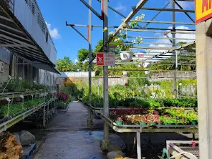 Jardín El Patio