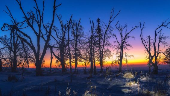 Windmill Snow Mountain