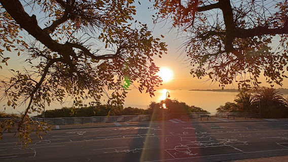Colony of Sacramento Boulevard