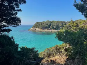 Camping des Iles