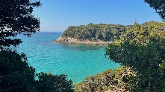 Camping des Iles