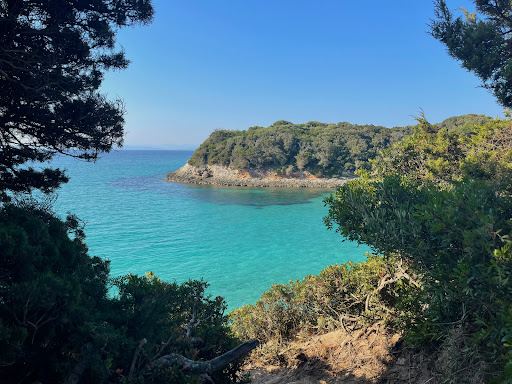 Camping des Iles