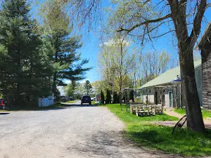 Monty's Bay Campsites
