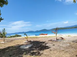 Pulau Temawan