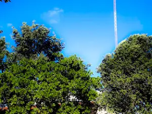 Parque dos Ipês