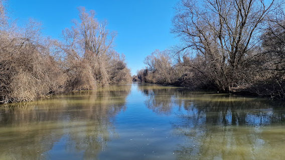 Excursii Delta Dunarii. Safca Delta Tours Tulcea
