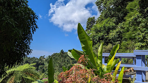 Maranatha Gardens a Prayer Santuary