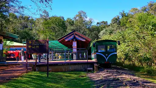 Central Station - Exit Jungle Train