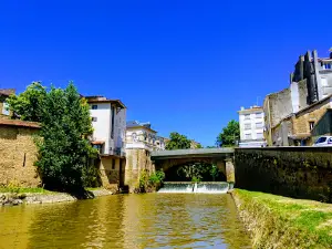 SCEA Domaine de Paguy