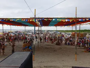 Punta Napo