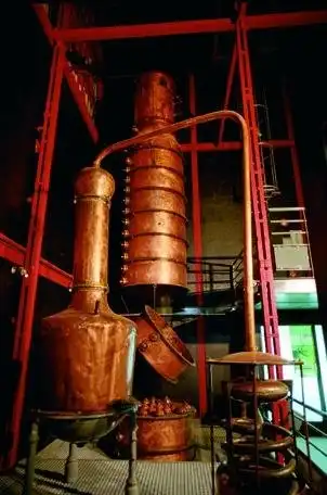 Các khách sạn gần Saga du Rhum