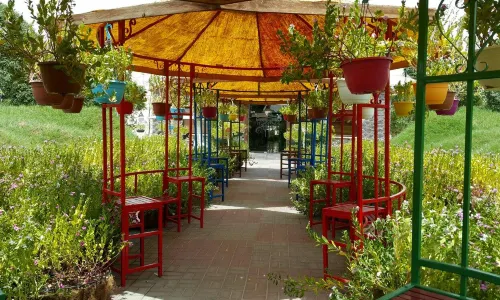 Dubai Butterfly Garden