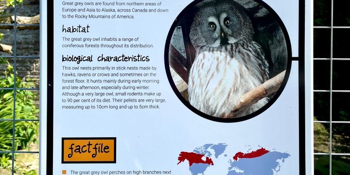 Camperdown Wildlife Centre