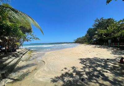 Cahuita National Park