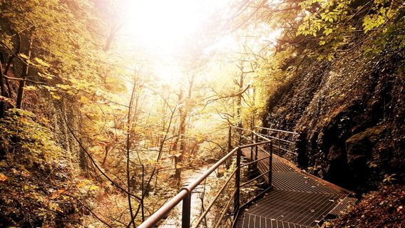 Cooperativa Smeraldo - Canyon Rio Sass