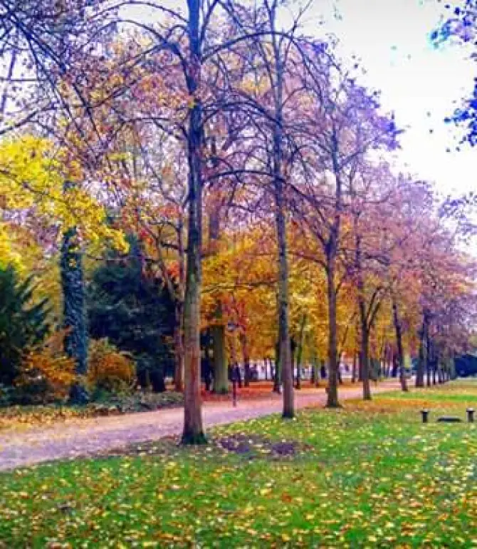 Erlangen