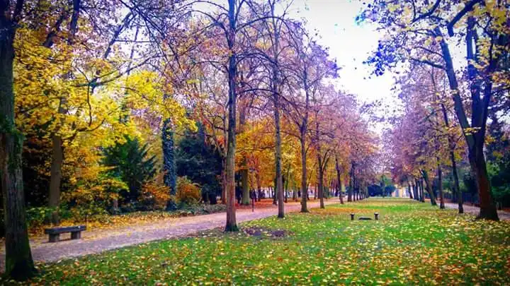 Hotels near Botanical Garden