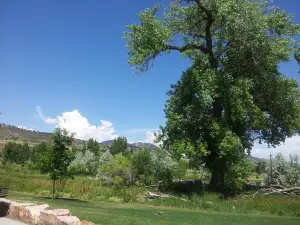 스프링 캐년 공원