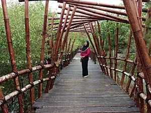 Ekowisata Mangrove Wonorejo