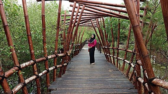Mangrove Wonorejo Ecotourism