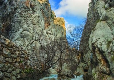 Starigrad