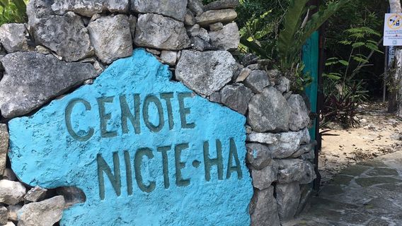 Cenote Nic Te Ha