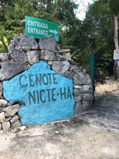 Cenote Nic Te Ha