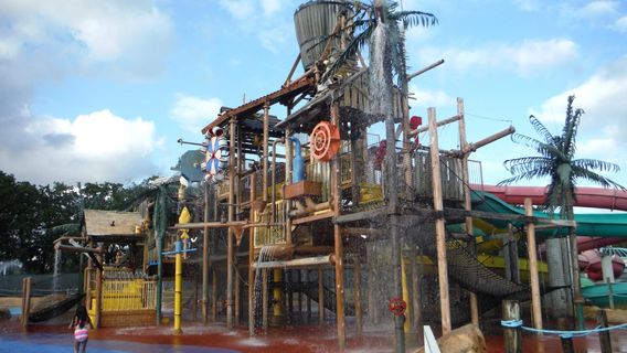 Hurricane Harbor Arlington