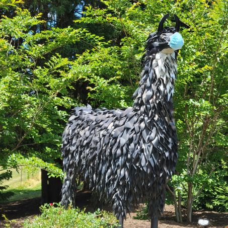 Divine Llama Vineyards