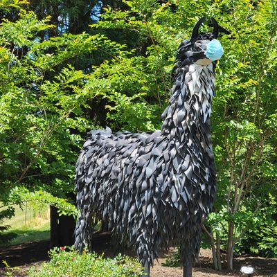 Divine Llama Vineyards