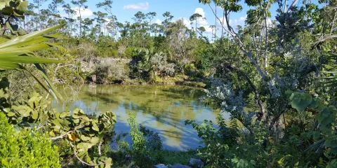 Rand Memorial Nature Center