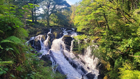Rhaeadr Ewynnol / Swallow Falls