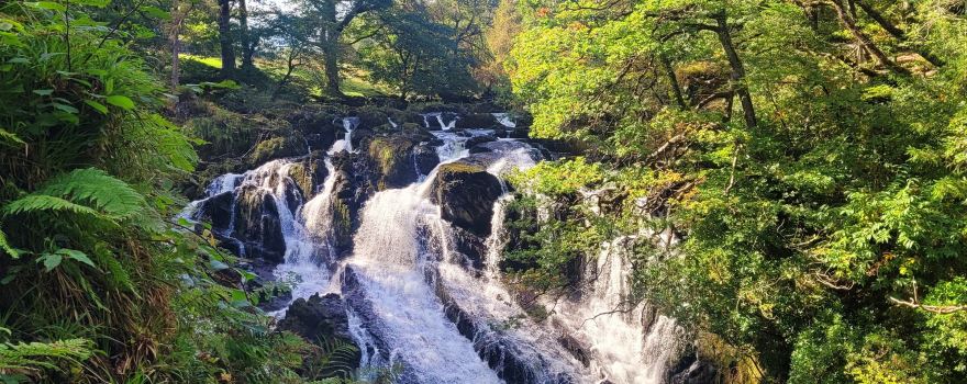 Rhaeadr Ewynnol / Swallow Falls Waterfall