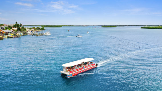 Dolphin Quest Eco Tours