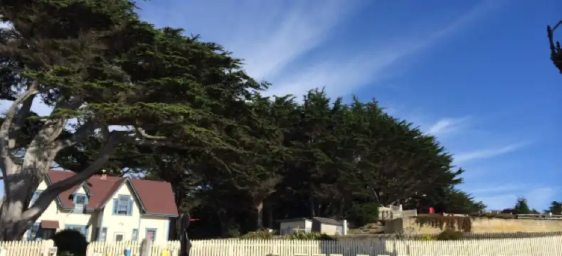 Hotels in Moss Beach