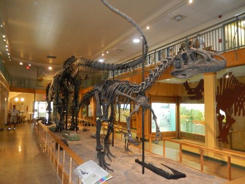 Geological Museum