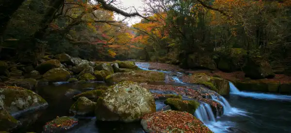 Hotels in Kikuchi