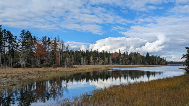 Mount Desert Oceanarium