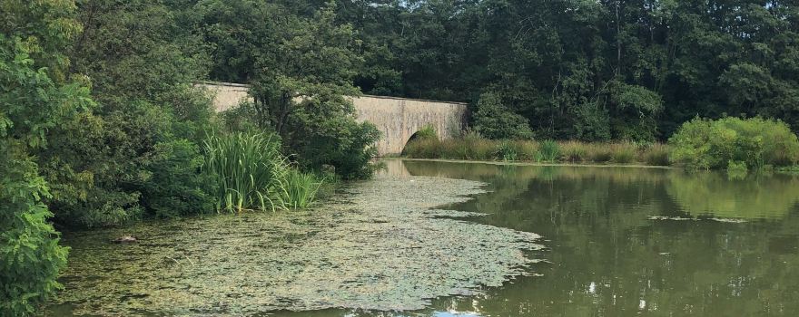 Riserva Naturale Bandella e valle dell'inferno